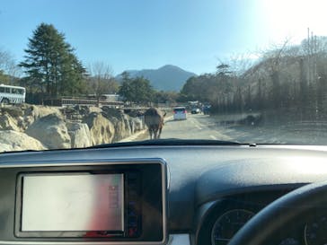 群馬サファリパークに投稿された画像（2021/2/21）