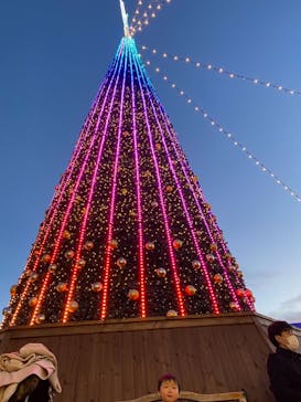 さがみ湖MORI MORIに投稿された画像（2021/2/21）