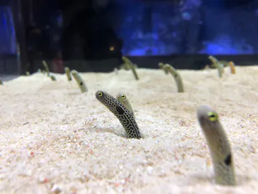 すみだ水族館に投稿された画像（2021/2/21）