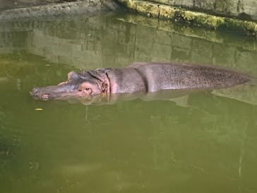 沖縄こどもの国に投稿された画像（2021/2/21）