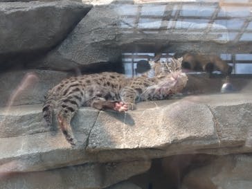 鳥羽水族館に投稿された画像（2021/2/21）