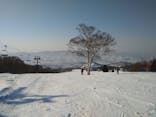 野沢温泉スキー場に投稿された画像（2021/2/21）