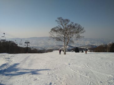 野沢温泉スキー場に投稿された画像（2021/2/21）