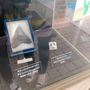 京急油壺マリンパークに投稿された画像（2021/2/21）