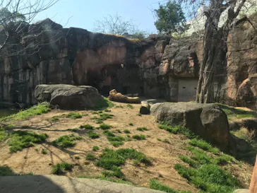 天王寺動物園に投稿された画像（2021/2/21）