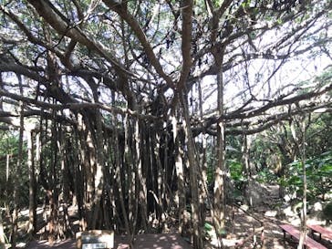 アスムイハイクスに投稿された画像（2021/2/21）