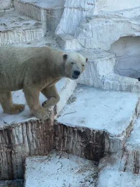 天王寺動物園に投稿された画像（2021/2/21）