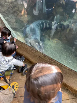 天王寺動物園に投稿された画像（2021/2/21）