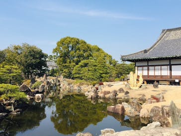 元離宮二条城に投稿された画像（2021/2/21）