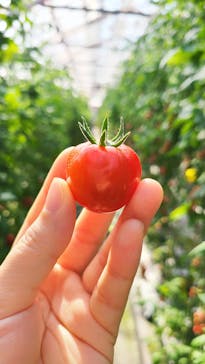 くらもとファームに投稿された画像（2021/2/21）