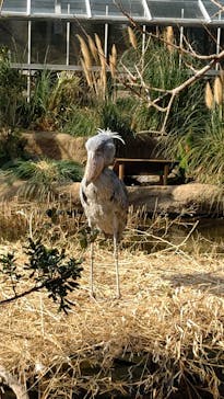 神戸どうぶつ王国に投稿された画像（2021/2/21）