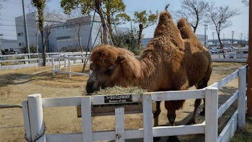 神戸どうぶつ王国に投稿された画像（2021/2/21）