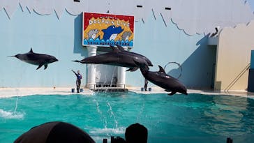 株式会社Gに投稿された画像（2021/2/22）