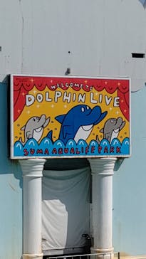 株式会社Gに投稿された画像（2021/2/22）