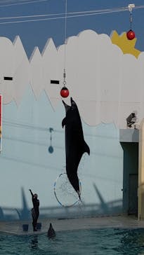 株式会社Gに投稿された画像（2021/2/22）