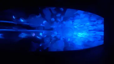 すみだ水族館に投稿された画像（2021/2/22）