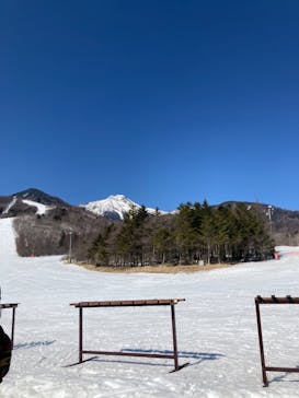 サンメドウズ清里に投稿された画像（2021/2/22）