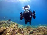 DIVING-SHOP SUNSに投稿された画像（2021/2/22）