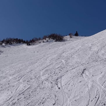 Mt.乗鞍スノーリゾートに投稿された画像（2021/2/22）