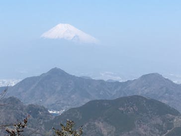 伊豆パノラマパークに投稿された画像（2021/2/22）