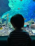 サンシャイン水族館に投稿された画像（2021/2/22）