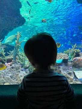 サンシャイン水族館に投稿された画像（2021/2/22）