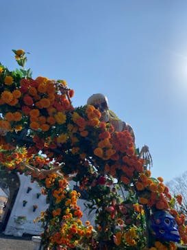 野外民族博物館 リトルワールドに投稿された画像（2021/2/22）