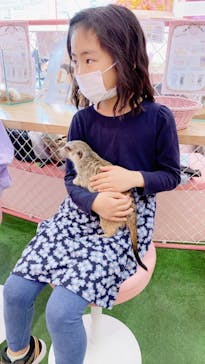 原宿かわいい動物園に投稿された画像（2021/2/22）