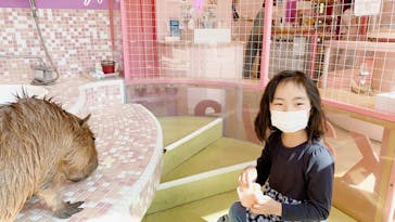 原宿かわいい動物園に投稿された画像（2021/2/22）