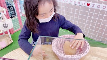 原宿かわいい動物園に投稿された画像（2021/2/22）