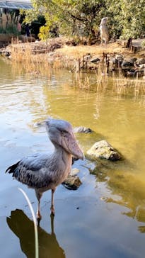 神戸どうぶつ王国に投稿された画像（2021/2/22）