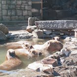 伊豆シャボテン動物公園に投稿された画像（2021/2/22）