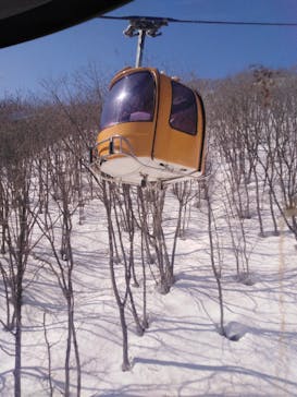 白馬岩岳スノーフィールドに投稿された画像（2021/2/22）