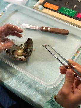 しながわ水族館に投稿された画像（2021/2/22）