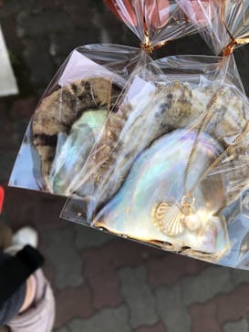 しながわ水族館に投稿された画像（2021/2/22）