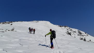 やまぼうし自然学校に投稿された画像（2021/2/22）