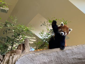 那須どうぶつ王国に投稿された画像（2021/2/22）