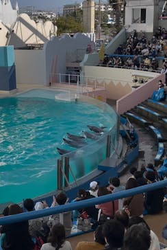 株式会社Gに投稿された画像（2021/2/22）