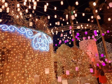 ひらかたパークに投稿された画像（2021/2/22）