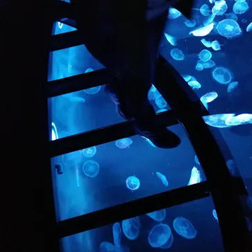 すみだ水族館に投稿された画像（2021/2/22）