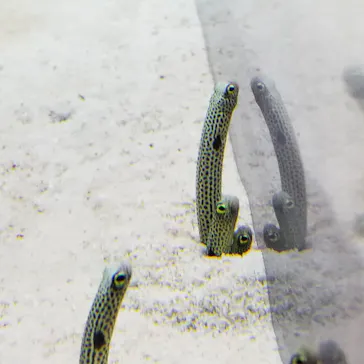 すみだ水族館に投稿された画像（2021/2/22）