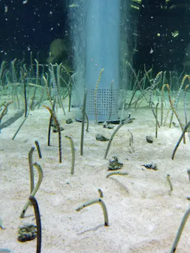 すみだ水族館に投稿された画像（2021/2/22）