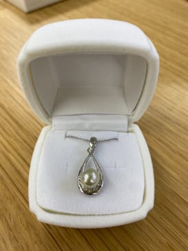 三重県真珠に投稿された画像（2021/2/22）