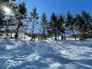 しらかば2in1スキー場に投稿された画像（2021/2/22）