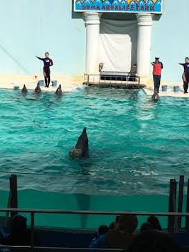 株式会社Gに投稿された画像（2021/2/22）