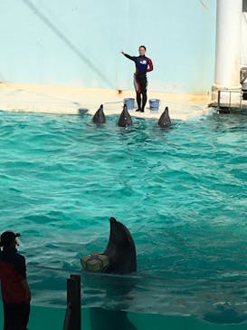 株式会社Gに投稿された画像（2021/2/22）