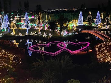 美らヤシパークオキナワ・東南植物楽園に投稿された画像（2021/2/22）