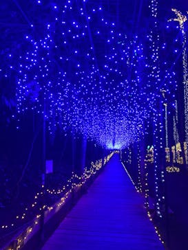 美らヤシパークオキナワ・東南植物楽園に投稿された画像（2021/2/22）