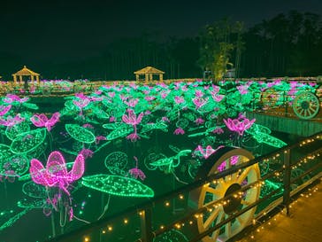 美らヤシパークオキナワ・東南植物楽園に投稿された画像（2021/2/22）