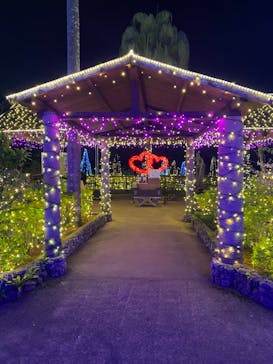 美らヤシパークオキナワ・東南植物楽園に投稿された画像（2021/2/22）